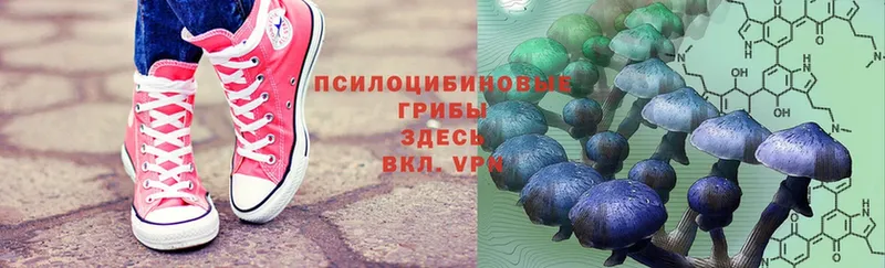 Псилоцибиновые грибы MAGIC MUSHROOMS  закладка  Ярославль 